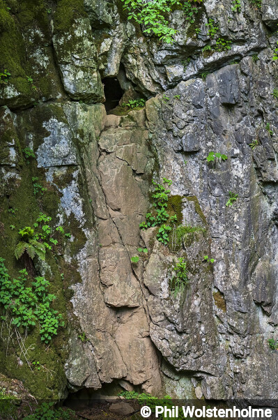 Entrance of Owl Hole