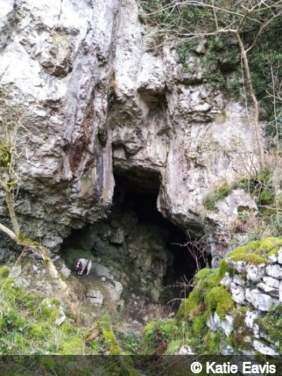 Entrance of Ravencliffe Cave