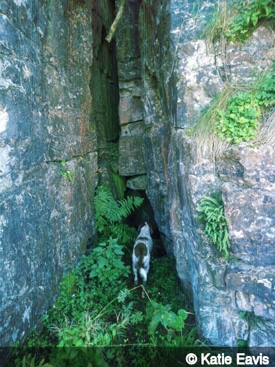 Entrance of Hob's House Cave