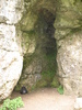 Reynard's Cave / 