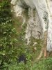  7. Tall open cave in crag next to Ilam Rock / 