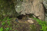 Owl Hole / Draughting Rift Entrance