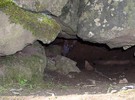 Fox Cub Cave / 